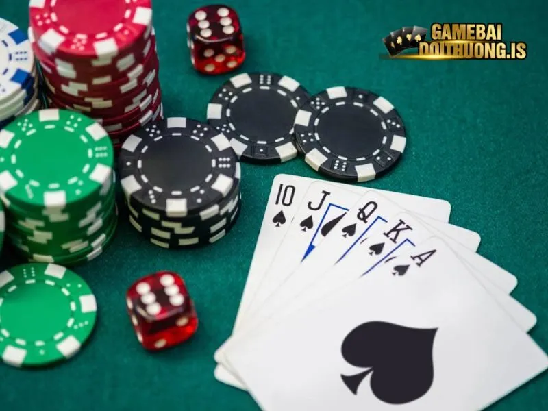 Bài cào tố cung cấp cho người chơi nhiều lựa chọn khác nhau