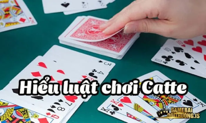 Các vòng cược chi tiết trong game bài catte của Gemwin